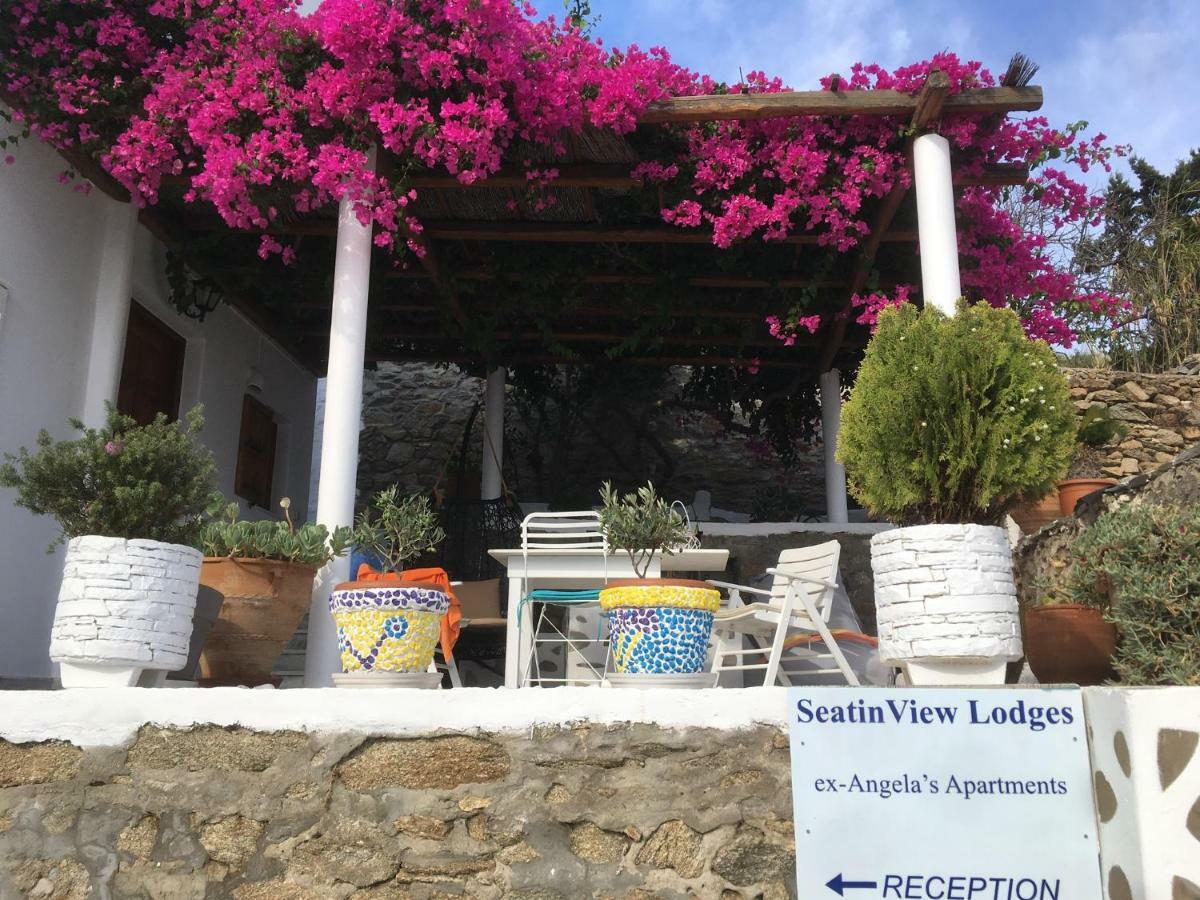 Seatinview Appartement Mykonos Town